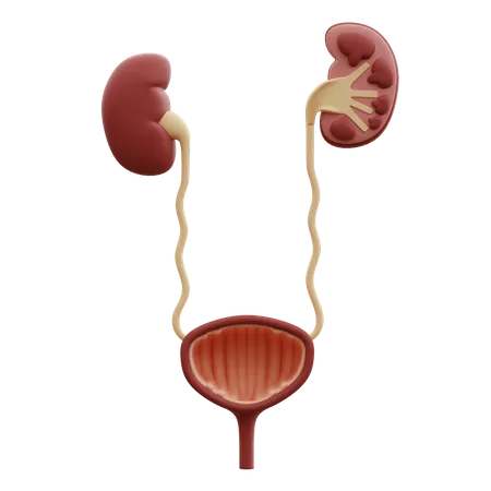 patna best urologist